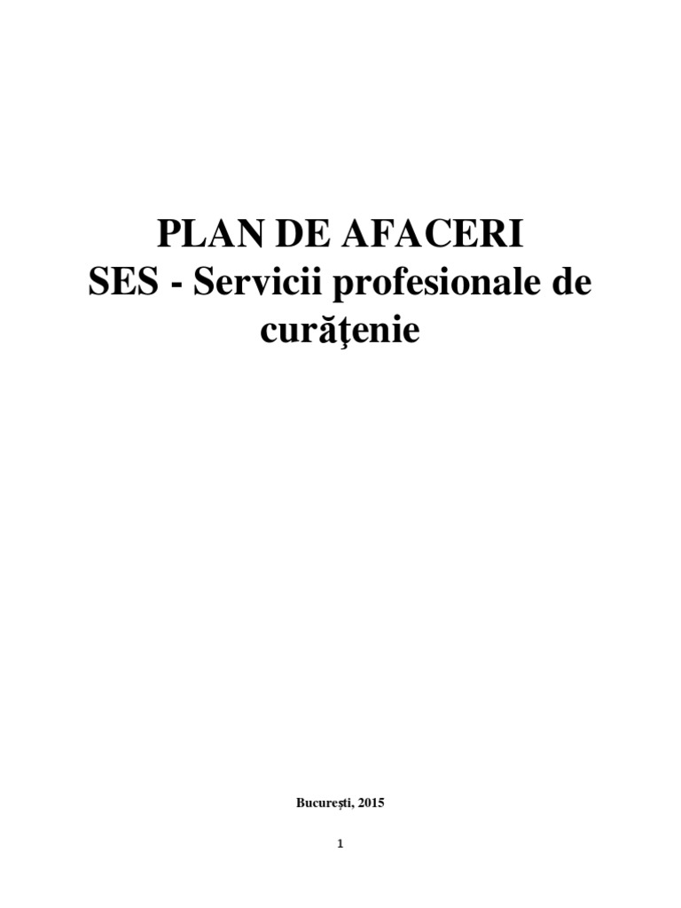 Model Plan de Afaceri SES Curatenie | PDF