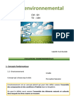 Audit Environnemental PDF