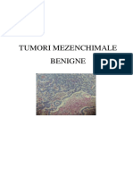 Tumori Mezenchimale Benigne
