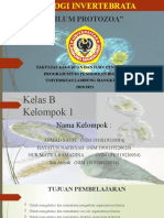 Kelompok 1 B PPT Protozoa