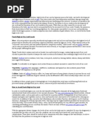 Download Foods High in Uric Acid by Andrelyn De Jesus Macadaeg SN48150856 doc pdf