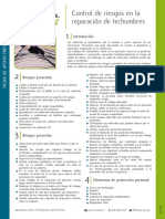control-de-riesgos-en-la-reparacion-de-techumbres.pdf