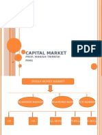 Capital Market: Prof. Manish Tripathi Pimg