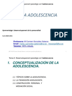 Tema 2 desarrollo psicologico en la adolescencia