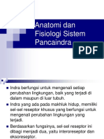 Anatomi dan Fisiologi Sistem Pancaindra