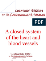 Cardiovascular System