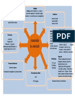 Schema Soare Anemie