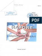 Raport Privind Indeplinirea IDT 17 Abc