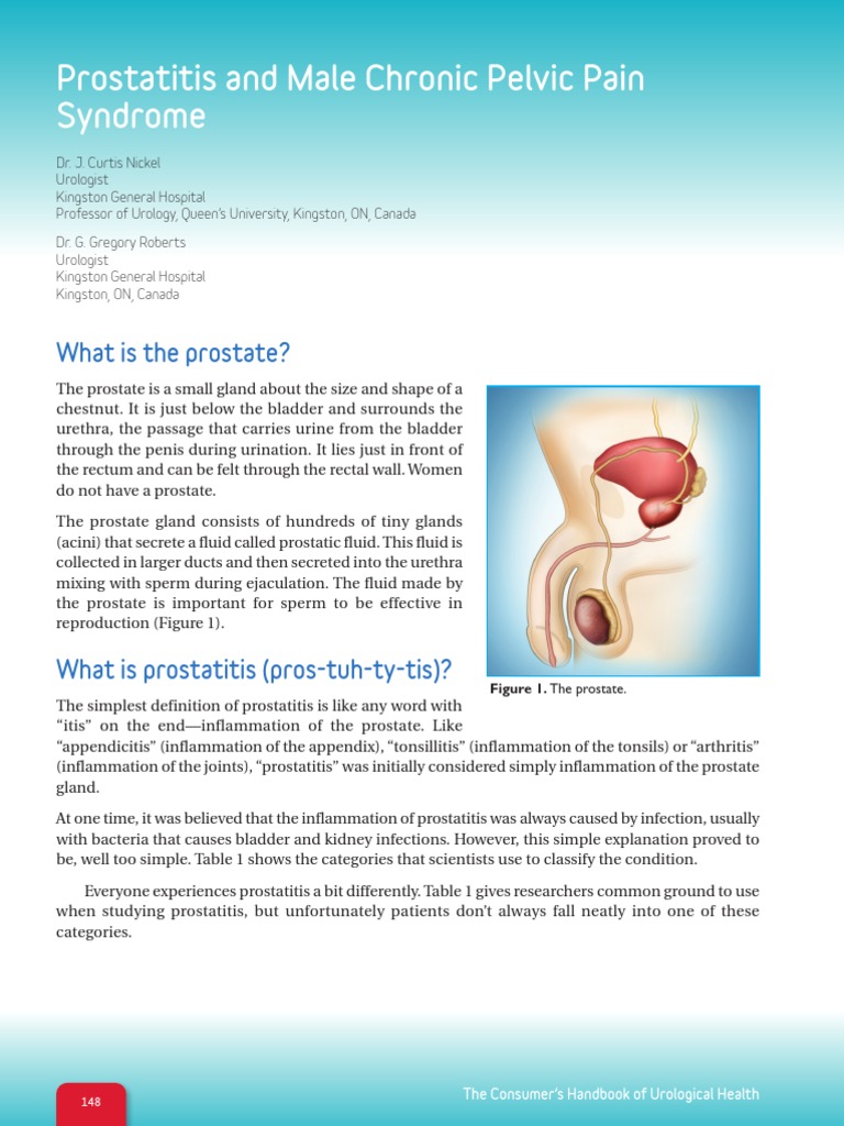 Prostatitis and Male Chronic Pelvic Pain Syndrome: What Is The Prostate ...