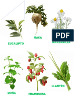 PLANTAS