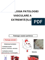 Semiologia Vasculara - ROM