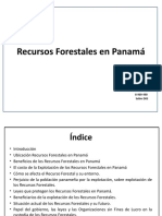Recursos Forestales en Panama II