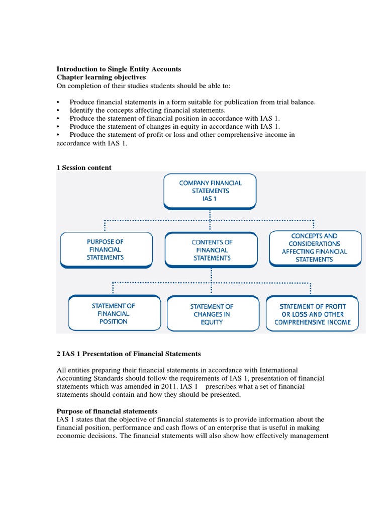 Understanding Single Entity Accounts | PDF | International Financial ...