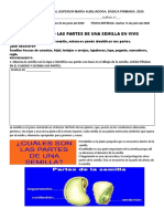 LABORATORIO N°2 LA GERMINACIÓN DE UNA SEMILLA. 4° 2020.pdf