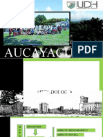 AUCAYACU.pptx