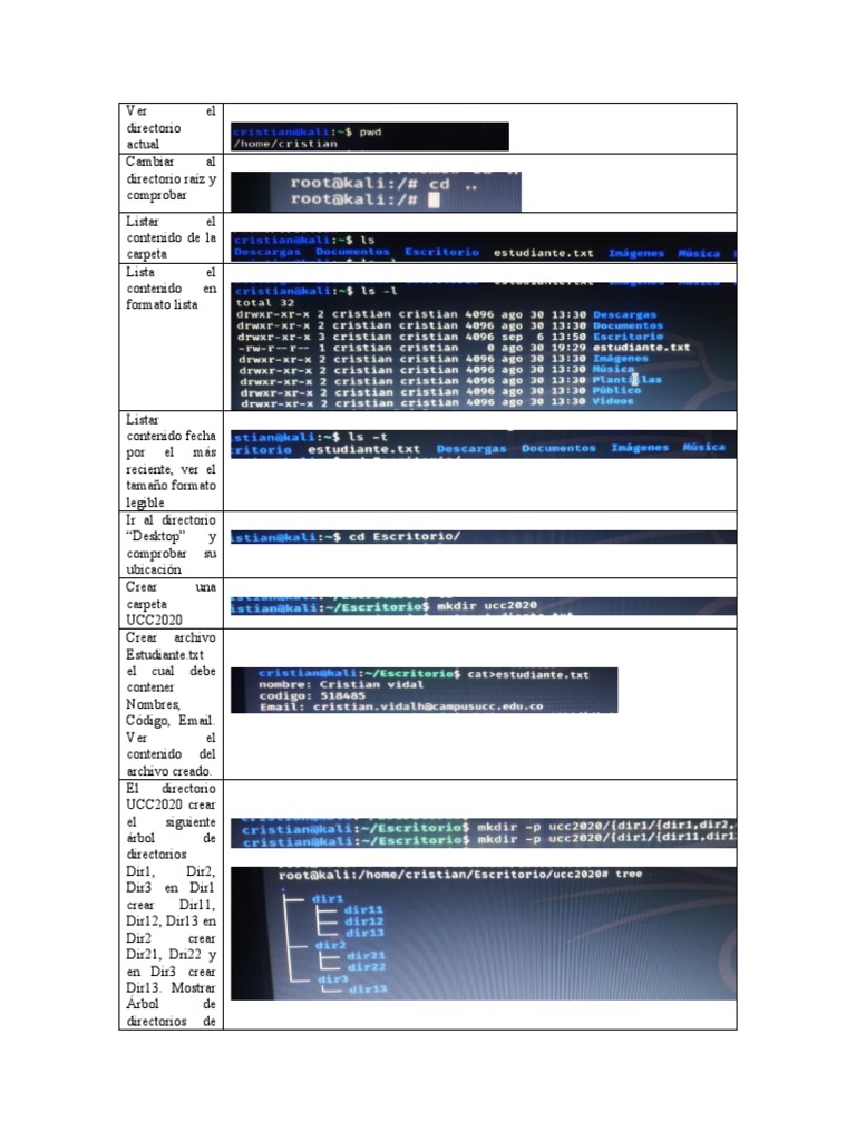 Comandos Linux | PDF | Archivo de computadora | Directorio (Computación)