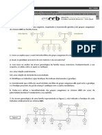 FT8 - Grupos ABO