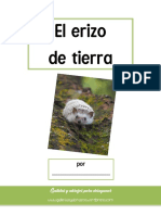 Proyecto Erizos PDF