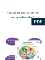 What Are The Causes of Protein Energy Malnutrition?
