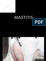 1 Mastitis