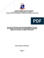 DISS - 2012 - Rener Ribeiro Fernandes PDF