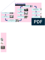 Ciclo de Producción PDF
