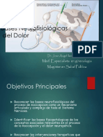 30 01 2009 Neurofisiologiadeldolor PDF