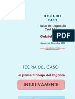 323 11 Teoría Del Caso. Sin Videos Gabriela Aromi PDF