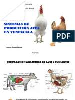 Sistema Produccion Aves Venezuela.pdf
