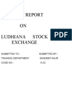 The Ludhiana Stock Exchange Limited Was Established in 1981
