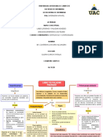 1.5 Alteraciones Digestivas