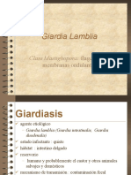 Giardiasis