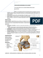 Articulaciones Del Miembro Inferior PDF
