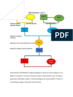 GENOGRAMA CASO 2 (1) FINAL