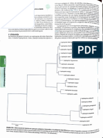 leptospirosis (1).pdf