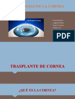 TRASPLANTE DE Cornea Correción