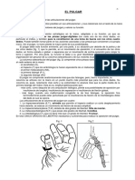Pulgar_Apuntes_2010.pdf