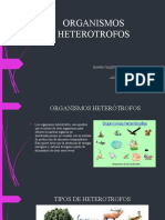 Organismos Heterotrofos