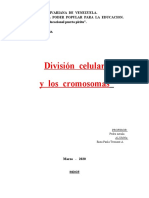 DIV CELULAR Y LOS CROMOSOMAS.docx