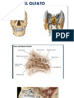 PRACTICA DE ANATOMIA  SEM. 7 (1)