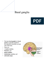 2 Basal Ganglia