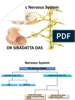 Manjeet Autonomic Nervous System For BParma