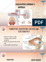 NERVIO PATETICO Y MOTOR OCULAR EXTERNO