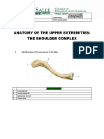 Anatomy of The Upper Extremities: The Shoulder Complex