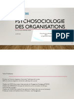 Psychosociologie Des Organisations PDF