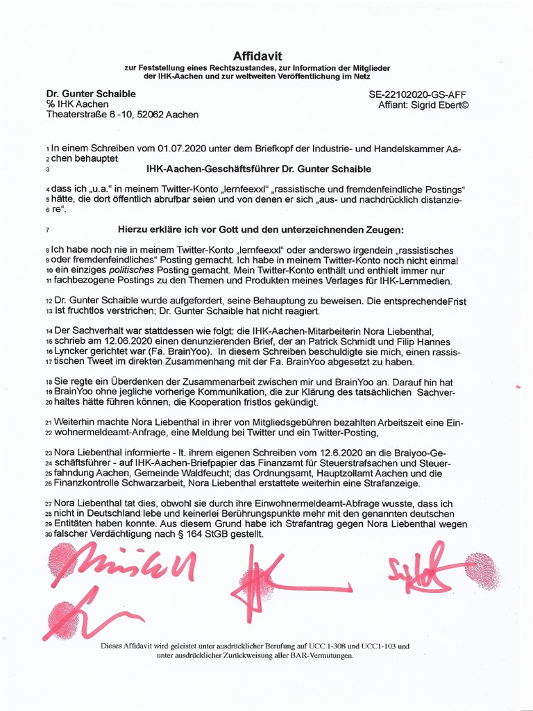 Dr Schaible Affidavit Pdf