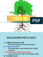 DIPT-04 Diagnosis Penyakit