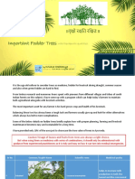 Fodder Trees PDF