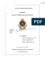 Assignment Group 13: Sodium Hydroxide Production: CH 1060 Process Engineering Fundamentals