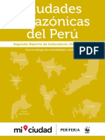 Ciudades Amazonicas Interiores